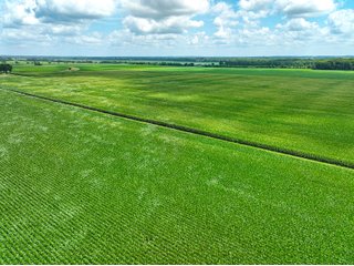 Property photo 34 - FARMLAND AUCTION - 241.5+/-ACRES OFFERED IN 4 TRACTS IN SULLIVAN COUNTY, INDIANA
