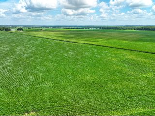 Property photo 33 - FARMLAND AUCTION - 241.5+/-ACRES OFFERED IN 4 TRACTS IN SULLIVAN COUNTY, INDIANA