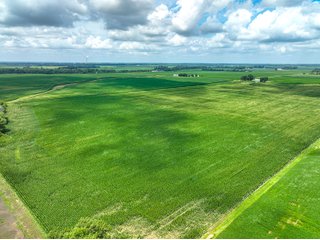 Property photo 13 - FARMLAND AUCTION - 241.5+/-ACRES OFFERED IN 4 TRACTS IN SULLIVAN COUNTY, INDIANA