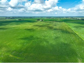 Property photo 11 - FARMLAND AUCTION - 241.5+/-ACRES OFFERED IN 4 TRACTS IN SULLIVAN COUNTY, INDIANA