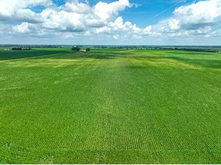 Property photo 32 - FARMLAND AUCTION - 241.5+/-ACRES OFFERED IN 4 TRACTS IN SULLIVAN COUNTY, INDIANA