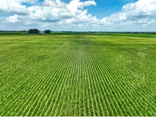 Property photo 31 - FARMLAND AUCTION - 241.5+/-ACRES OFFERED IN 4 TRACTS IN SULLIVAN COUNTY, INDIANA