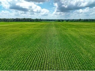 Property photo 30 - FARMLAND AUCTION - 241.5+/-ACRES OFFERED IN 4 TRACTS IN SULLIVAN COUNTY, INDIANA