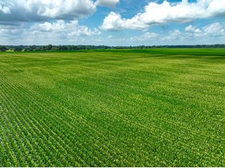 Property photo 27 - FARMLAND AUCTION - 241.5+/-ACRES OFFERED IN 4 TRACTS IN SULLIVAN COUNTY, INDIANA