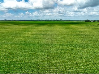 Property photo 28 - FARMLAND AUCTION - 241.5+/-ACRES OFFERED IN 4 TRACTS IN SULLIVAN COUNTY, INDIANA