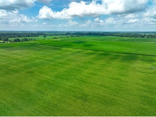 Property photo 9 - FARMLAND AUCTION - 241.5+/-ACRES OFFERED IN 4 TRACTS IN SULLIVAN COUNTY, INDIANA