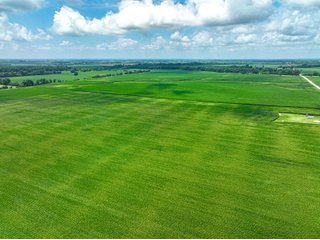 Property photo 8 - FARMLAND AUCTION - 241.5+/-ACRES OFFERED IN 4 TRACTS IN SULLIVAN COUNTY, INDIANA