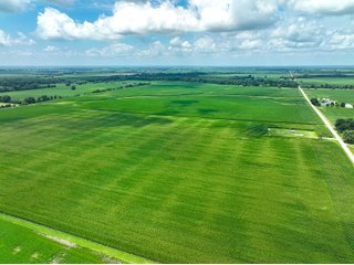 Property photo 7 - FARMLAND AUCTION - 241.5+/-ACRES OFFERED IN 4 TRACTS IN SULLIVAN COUNTY, INDIANA