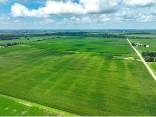 Property photo 6 - FARMLAND AUCTION - 241.5+/-ACRES OFFERED IN 4 TRACTS IN SULLIVAN COUNTY, INDIANA