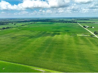 Property photo 5 - FARMLAND AUCTION - 241.5+/-ACRES OFFERED IN 4 TRACTS IN SULLIVAN COUNTY, INDIANA