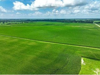 Property photo 2 - FARMLAND AUCTION - 241.5+/-ACRES OFFERED IN 4 TRACTS IN SULLIVAN COUNTY, INDIANA