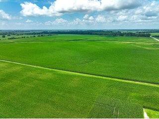 Property photo 3 - FARMLAND AUCTION - 241.5+/-ACRES OFFERED IN 4 TRACTS IN SULLIVAN COUNTY, INDIANA