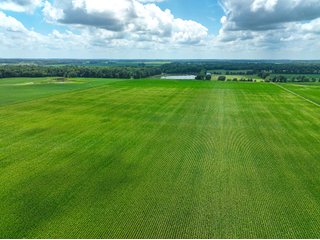 Property photo 1 - FARMLAND AUCTION - 241.5+/-ACRES OFFERED IN 4 TRACTS IN SULLIVAN COUNTY, INDIANA