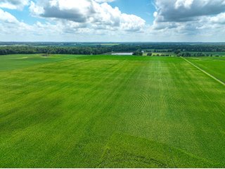 Property photo 4 - FARMLAND AUCTION - 241.5+/-ACRES OFFERED IN 4 TRACTS IN SULLIVAN COUNTY, INDIANA
