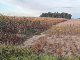 Property photo 21 - LAND AUCTION - 150+/-ACRES OFFERED IN 6 TRACTS IN ALLEN COUNTY, INDIANA