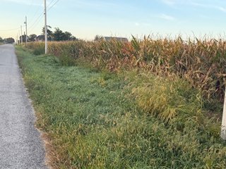 Property photo 24 - LAND AUCTION - 150+/-ACRES OFFERED IN 6 TRACTS IN ALLEN COUNTY, INDIANA