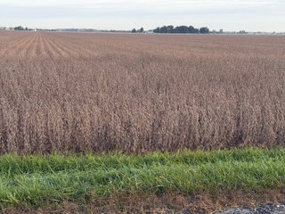 Property photo 28 - LAND AUCTION - 150+/-ACRES OFFERED IN 6 TRACTS IN ALLEN COUNTY, INDIANA
