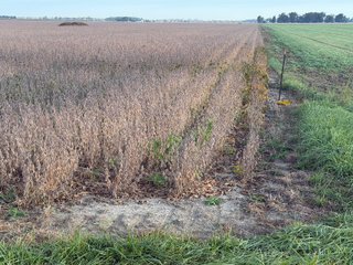 Property photo 29 - LAND AUCTION - 150+/-ACRES OFFERED IN 6 TRACTS IN ALLEN COUNTY, INDIANA