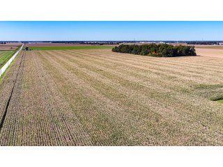 Property photo 9 - LAND AUCTION - 150+/-ACRES OFFERED IN 6 TRACTS IN ALLEN COUNTY, INDIANA