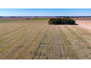Property photo 8 - LAND AUCTION - 150+/-ACRES OFFERED IN 6 TRACTS IN ALLEN COUNTY, INDIANA