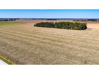 Property photo 10 - LAND AUCTION - 150+/-ACRES OFFERED IN 6 TRACTS IN ALLEN COUNTY, INDIANA