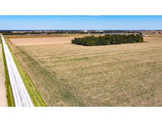 Property photo 7 - LAND AUCTION - 150+/-ACRES OFFERED IN 6 TRACTS IN ALLEN COUNTY, INDIANA