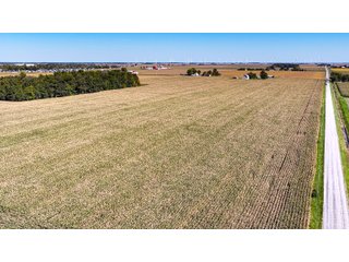 Property photo 11 - LAND AUCTION - 150+/-ACRES OFFERED IN 6 TRACTS IN ALLEN COUNTY, INDIANA
