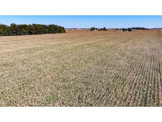 Property photo 12 - LAND AUCTION - 150+/-ACRES OFFERED IN 6 TRACTS IN ALLEN COUNTY, INDIANA