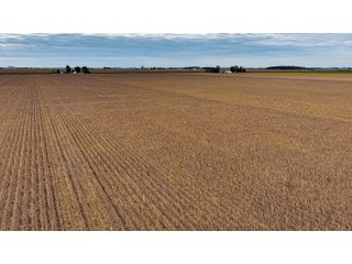Property photo 15 - LAND AUCTION - 150+/-ACRES OFFERED IN 6 TRACTS IN ALLEN COUNTY, INDIANA