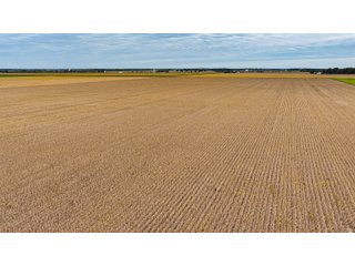 Property photo 17 - LAND AUCTION - 150+/-ACRES OFFERED IN 6 TRACTS IN ALLEN COUNTY, INDIANA