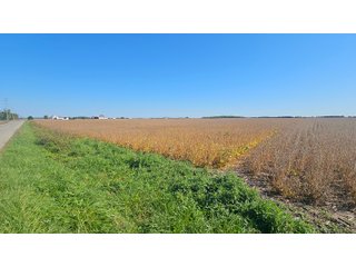 Property photo 43 - MAJOR LAND AUCTION - 701+/-ACRES OFFERED IN 23 TRACTS IN WILLIAMS COUNTY, OHIO