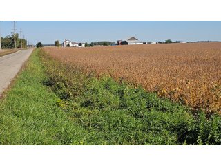 Property photo 119 - MAJOR LAND AUCTION - 701+/-ACRES OFFERED IN 23 TRACTS IN WILLIAMS COUNTY, OHIO