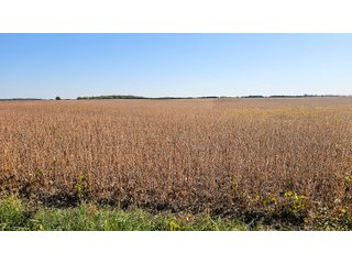 Property photo 45 - MAJOR LAND AUCTION - 701+/-ACRES OFFERED IN 23 TRACTS IN WILLIAMS COUNTY, OHIO