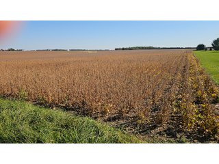 Property photo 46 - MAJOR LAND AUCTION - 701+/-ACRES OFFERED IN 23 TRACTS IN WILLIAMS COUNTY, OHIO