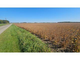Property photo 47 - MAJOR LAND AUCTION - 701+/-ACRES OFFERED IN 23 TRACTS IN WILLIAMS COUNTY, OHIO