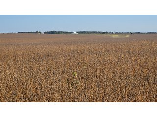 Property photo 48 - MAJOR LAND AUCTION - 701+/-ACRES OFFERED IN 23 TRACTS IN WILLIAMS COUNTY, OHIO
