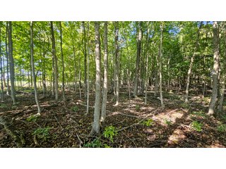 Property photo 120 - MAJOR LAND AUCTION - 701+/-ACRES OFFERED IN 23 TRACTS IN WILLIAMS COUNTY, OHIO