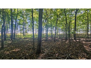 Property photo 118 - MAJOR LAND AUCTION - 701+/-ACRES OFFERED IN 23 TRACTS IN WILLIAMS COUNTY, OHIO