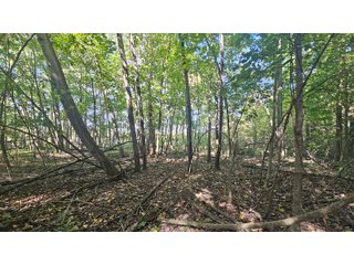 Property photo 117 - MAJOR LAND AUCTION - 701+/-ACRES OFFERED IN 23 TRACTS IN WILLIAMS COUNTY, OHIO