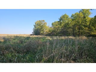 Property photo 116 - MAJOR LAND AUCTION - 701+/-ACRES OFFERED IN 23 TRACTS IN WILLIAMS COUNTY, OHIO