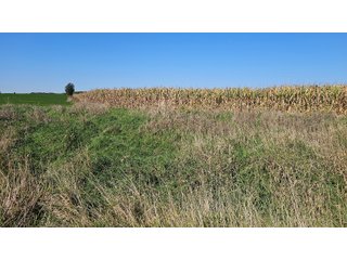 Property photo 49 - MAJOR LAND AUCTION - 701+/-ACRES OFFERED IN 23 TRACTS IN WILLIAMS COUNTY, OHIO