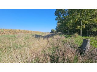 Property photo 114 - MAJOR LAND AUCTION - 701+/-ACRES OFFERED IN 23 TRACTS IN WILLIAMS COUNTY, OHIO