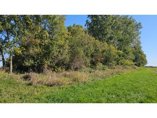 Property photo 115 - MAJOR LAND AUCTION - 701+/-ACRES OFFERED IN 23 TRACTS IN WILLIAMS COUNTY, OHIO