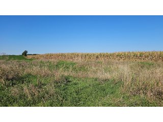 Property photo 50 - MAJOR LAND AUCTION - 701+/-ACRES OFFERED IN 23 TRACTS IN WILLIAMS COUNTY, OHIO