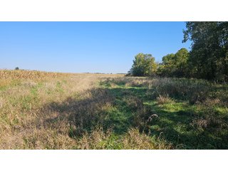 Property photo 51 - MAJOR LAND AUCTION - 701+/-ACRES OFFERED IN 23 TRACTS IN WILLIAMS COUNTY, OHIO