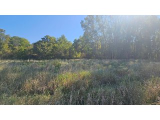 Property photo 52 - MAJOR LAND AUCTION - 701+/-ACRES OFFERED IN 23 TRACTS IN WILLIAMS COUNTY, OHIO