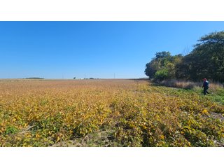Property photo 53 - MAJOR LAND AUCTION - 701+/-ACRES OFFERED IN 23 TRACTS IN WILLIAMS COUNTY, OHIO