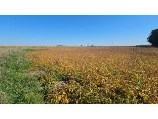 Property photo 54 - MAJOR LAND AUCTION - 701+/-ACRES OFFERED IN 23 TRACTS IN WILLIAMS COUNTY, OHIO