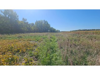 Property photo 55 - MAJOR LAND AUCTION - 701+/-ACRES OFFERED IN 23 TRACTS IN WILLIAMS COUNTY, OHIO