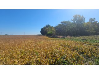 Property photo 56 - MAJOR LAND AUCTION - 701+/-ACRES OFFERED IN 23 TRACTS IN WILLIAMS COUNTY, OHIO